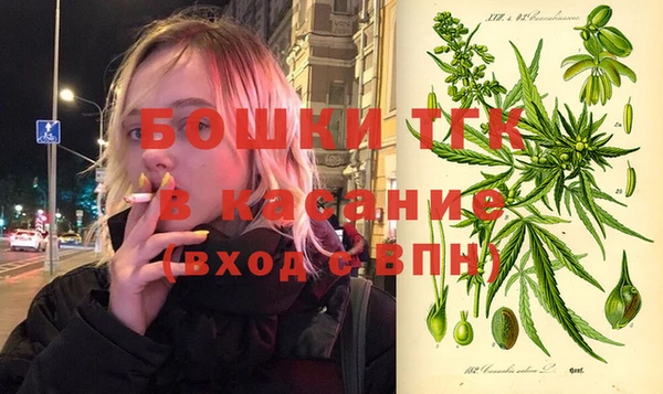 гашик Алексеевка