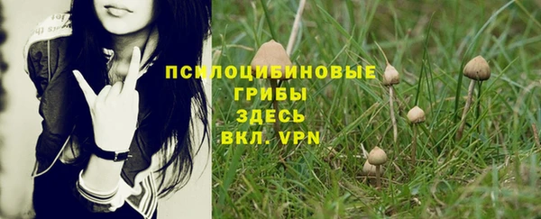 jwh Алзамай
