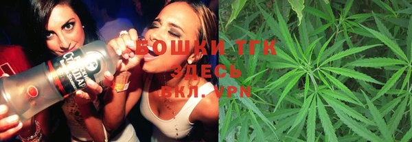 гашик Алексеевка