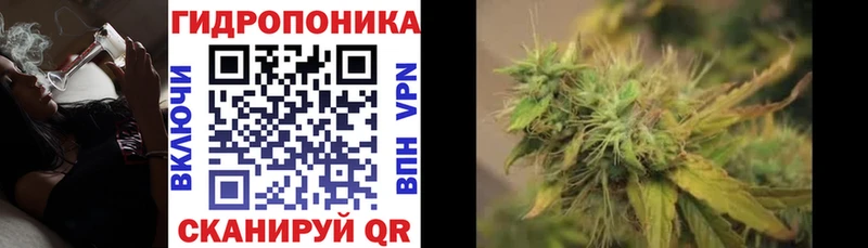 Канабис Amnesia  даркнет сайт  Каневская 